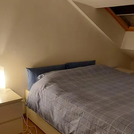 Savoia Downtown Attic * Turin