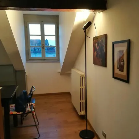 Savoia Downtown Attic Apartment Turin